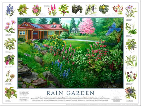 raingarden_poster_dec2008[1]